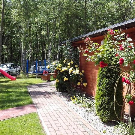 Rossa - Domki Letniskowe Miedzywodzie Bagian luar foto
